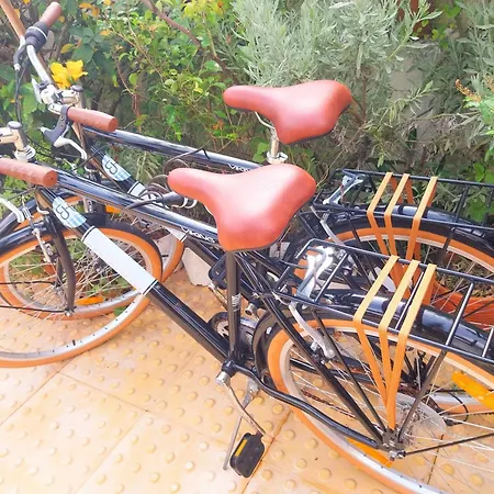 Affittacamere House Babylon With Kitchenette And Garden Torreira