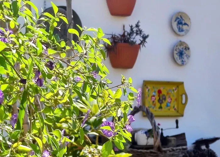 House Babylon With Kitchenette And Garden