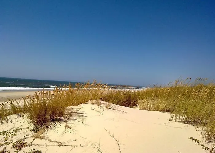 Affittacamere House Babylon With Kitchenette And Garden 4*