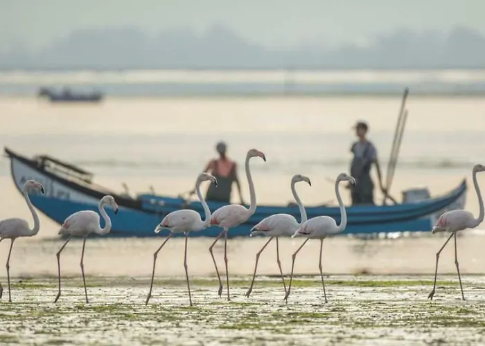 House Babylon With Kitchenette And Garden Affittacamere Torreira