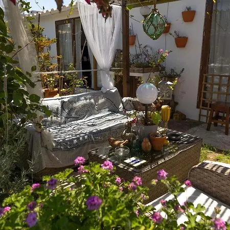 House Babylon With Kitchenette And Garden 3*