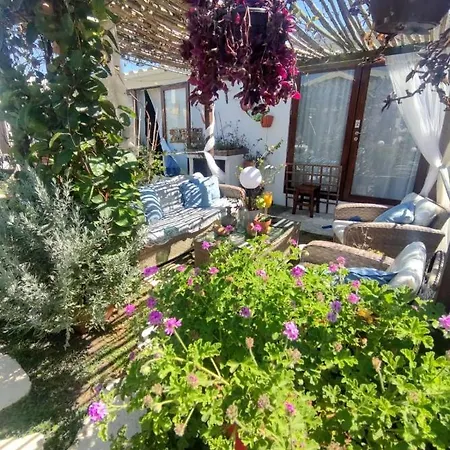 House Babylon With Kitchenette And Garden 3*