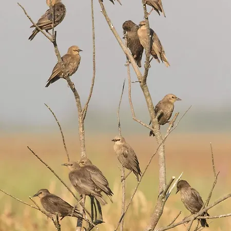 ゲストハウス House Babylon With Kitchenette And Garden