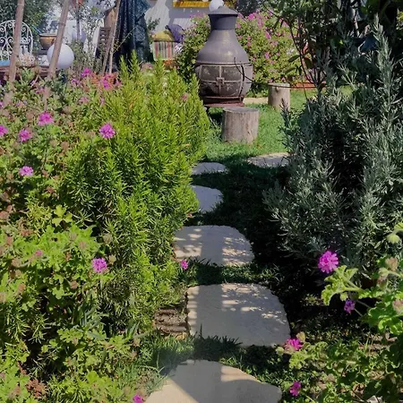 House Babylon With Kitchenette And Garden ゲストハウス 4*