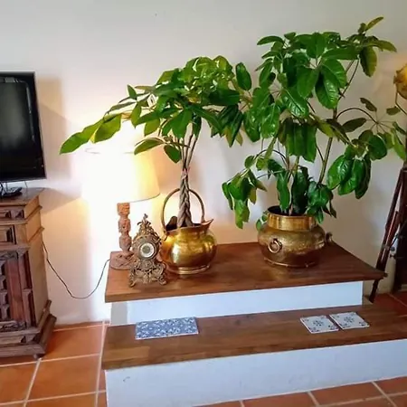 House Babylon With Kitchenette And Garden トレイラ