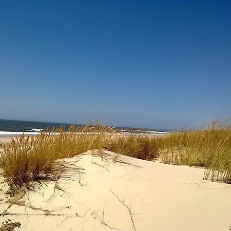 ゲストハウス House Babylon With Kitchenette And Garden 4*