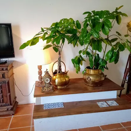 House Babylon With Kitchenette And Garden 3*