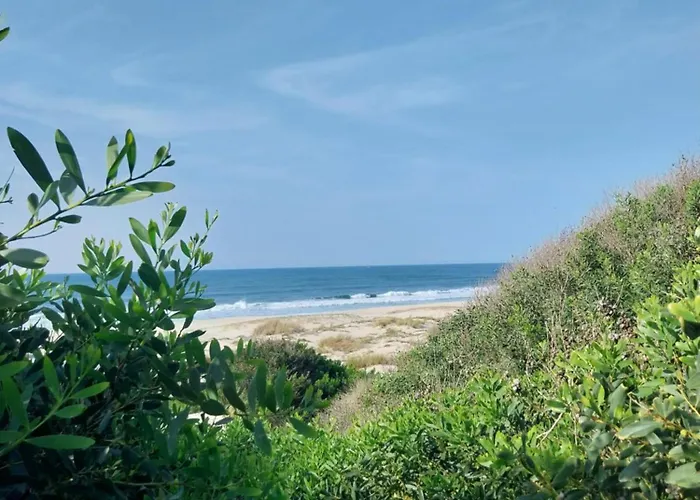 House Babylon With Kitchenette And Garden