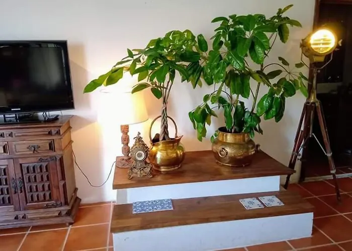 House Babylon With Kitchenette And Garden Torreira